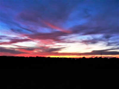 20201104_175944.jpg