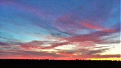 20201104_175952.jpg