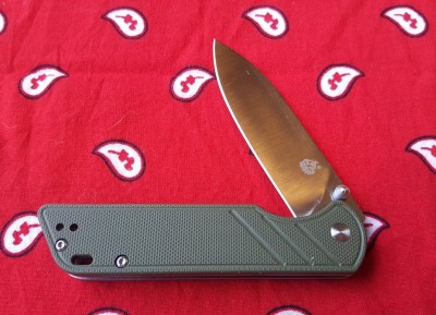 QSP Parrot.jpg