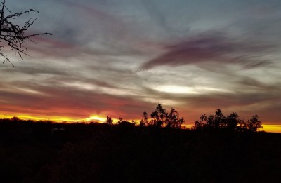 Sunset - Nov 4, 2020.jpg