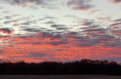 20201108_182222.jpg