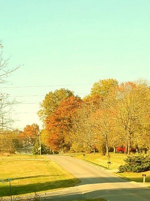 20201108_164134.jpg