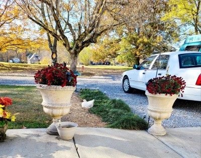 20201106_133102.jpg
