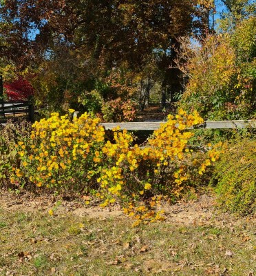 20201106_130730.jpg