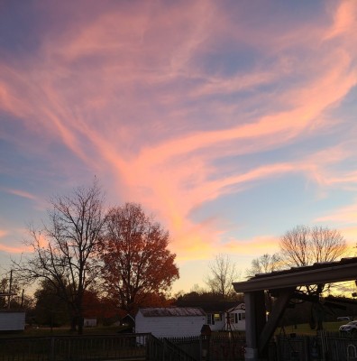 20201109_172719.jpg