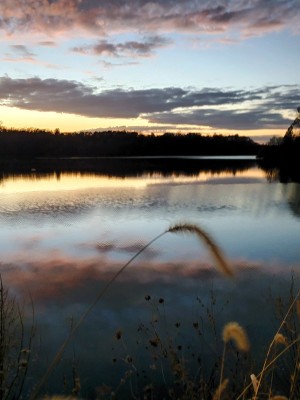 20201109_172603.jpg