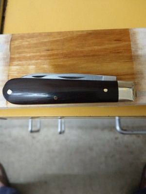 IMAG0374.jpg