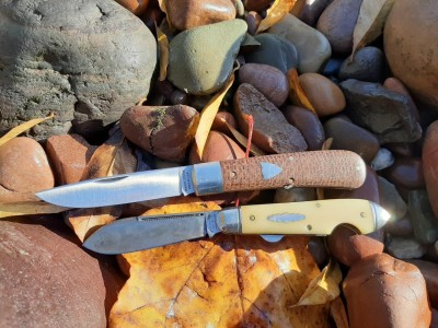 thumbnail_20201110_091806.jpg