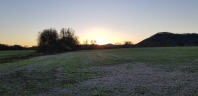 20201110_171155.jpg
