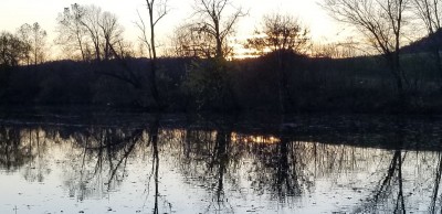 20201110_171519.jpg