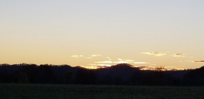 20201110_172001.jpg