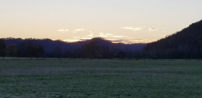 20201110_172055.jpg