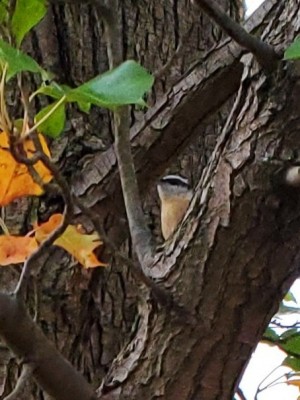 20201110_162213.jpg