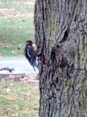 20201111_085516.jpg