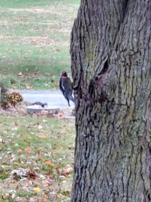 20201111_085803.jpg