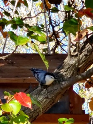 20201111_135704.jpg