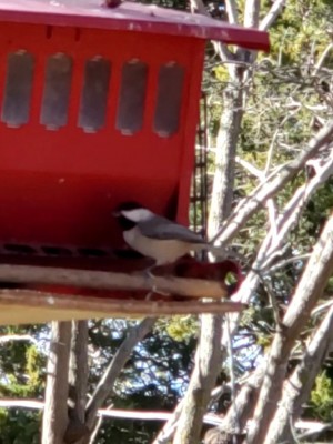 20201111_135910.jpg