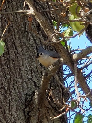20201111_135211.jpg