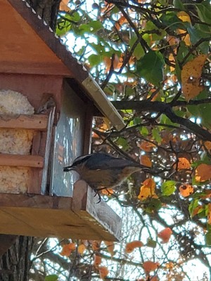 20201111_140014.jpg