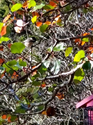 20201111_111758_capture.jpg