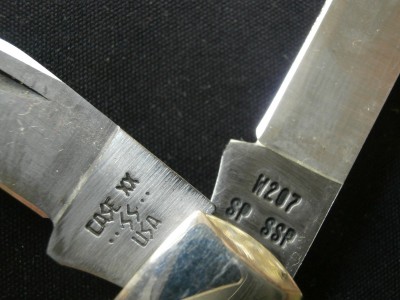 PB110007.JPG