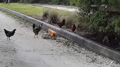 20201111_151336.jpg