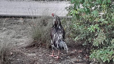 20201111_151414.jpg