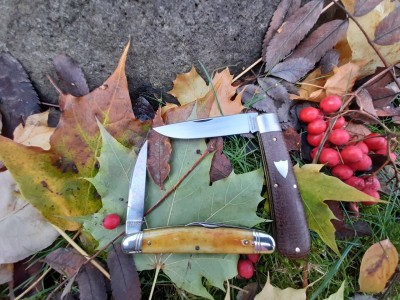 thumbnail_20201111_134108.jpg