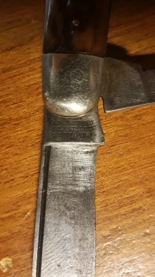 20201113_171246.jpg