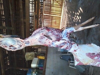 20201114_105437.jpg