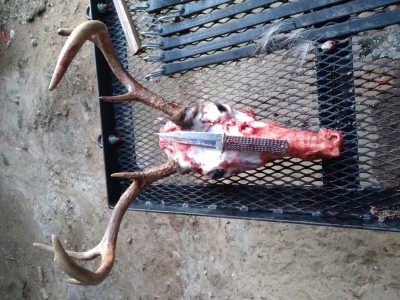 20201114_113929.jpg