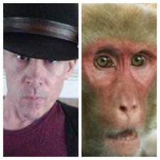1904171_1075821492444944_3279304317490200918_n.jpg