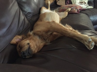 Nap.jpg
