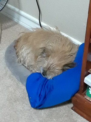 20201113_073610.jpg