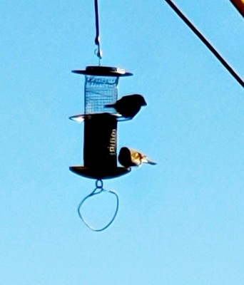 20201117_105051.jpg