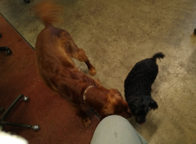 Screenshot_20201117-125806.png