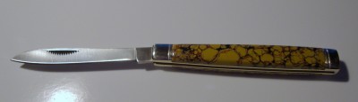 Yellow Dino Bone 001.JPG
