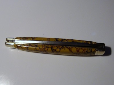Yellow Dino Bone 003.JPG