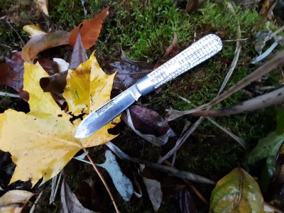 thumbnail_20201117_154812.jpg