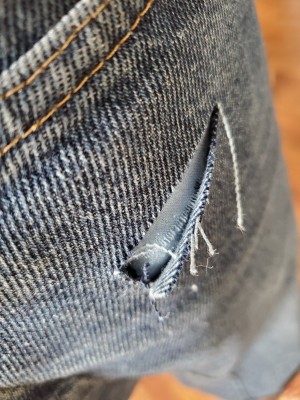 20201118_124319.jpg