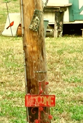 20201119_131835.jpg