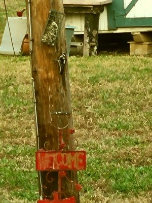 20201119_131331.jpg