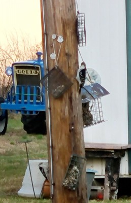 20201119_130847.jpg