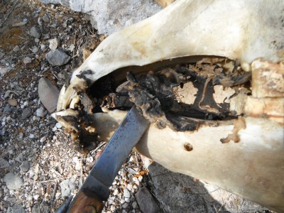 DSCF7975.JPG