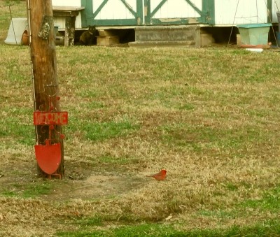 20201119_130658.jpg