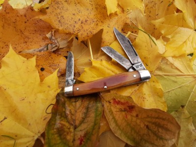 thumbnail_20201119_103142.jpg