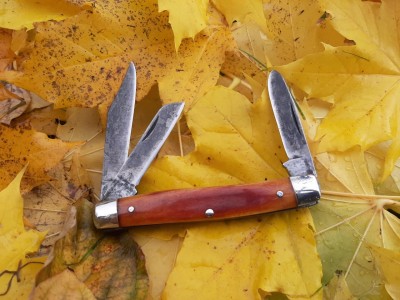 thumbnail_20201119_103237.jpg