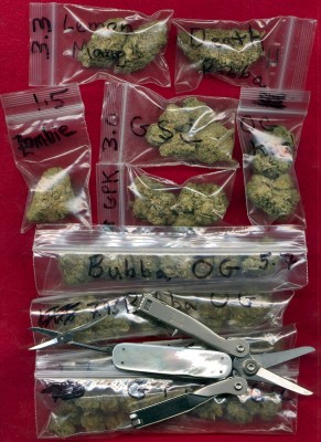 Cannabis & Schrade x1200.jpg