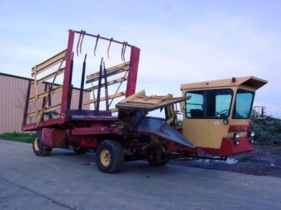 115262_large.jpg