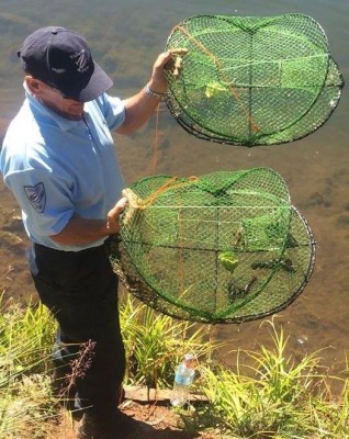 dpi-fisheries-yabby-nets.jpg